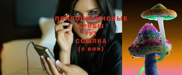 дживик Инта