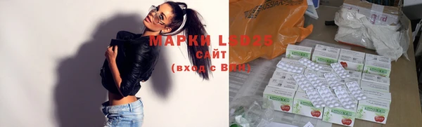 дживик Инта