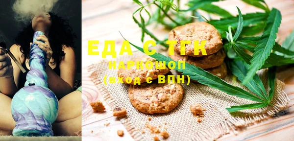 дживик Инта